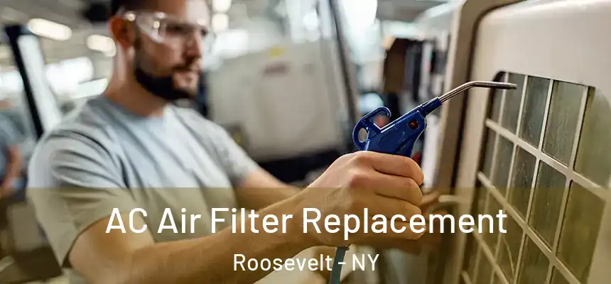  AC Air Filter Replacement Roosevelt - NY