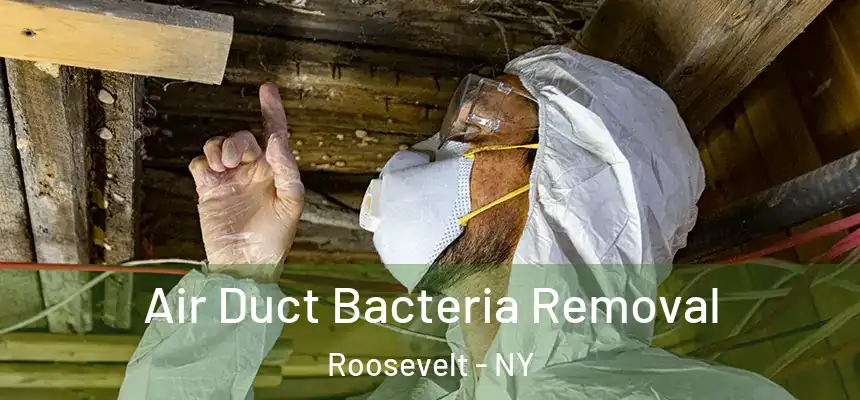 Air Duct Bacteria Removal Roosevelt - NY