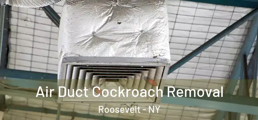  Air Duct Cockroach Removal Roosevelt - NY