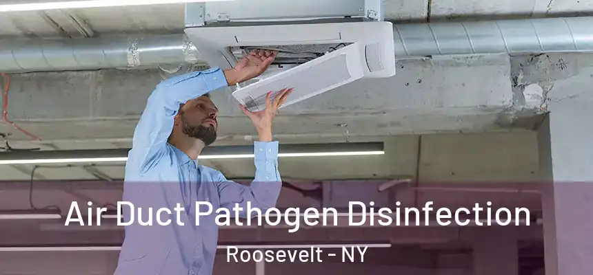  Air Duct Pathogen Disinfection Roosevelt - NY