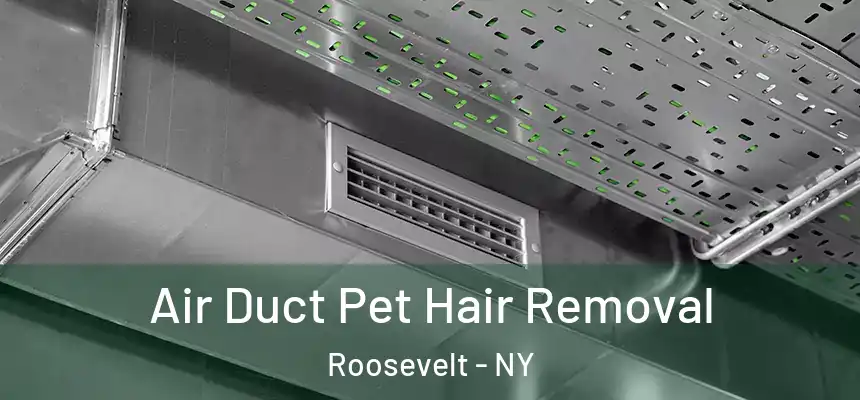 Air Duct Pet Hair Removal Roosevelt - NY