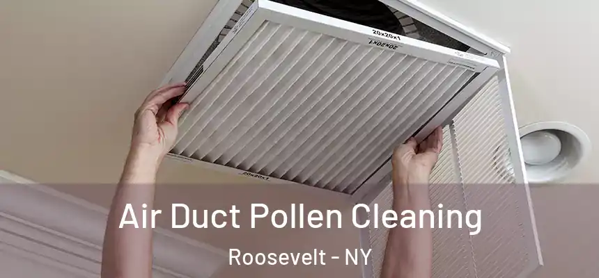 Air Duct Pollen Cleaning Roosevelt - NY