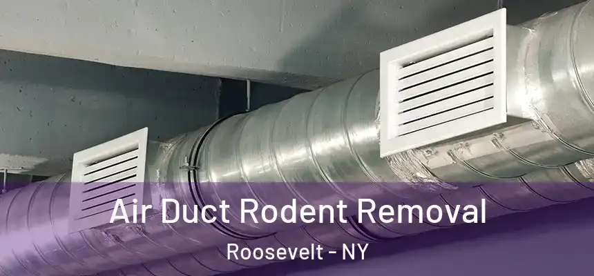 Air Duct Rodent Removal Roosevelt - NY