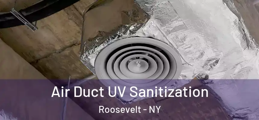 Air Duct UV Sanitization Roosevelt - NY