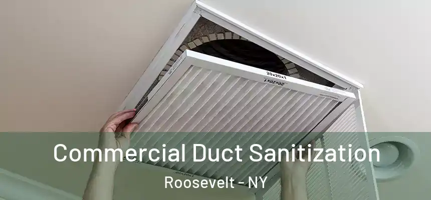 Commercial Duct Sanitization Roosevelt - NY
