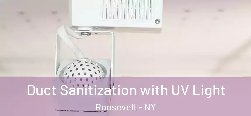 Duct Sanitization with UV Light Roosevelt - NY