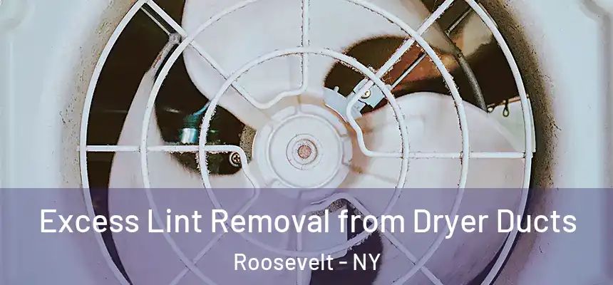 Excess Lint Removal from Dryer Ducts Roosevelt - NY