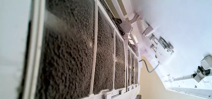 Preventive Air Duct Bacteria Removal in Roosevelt