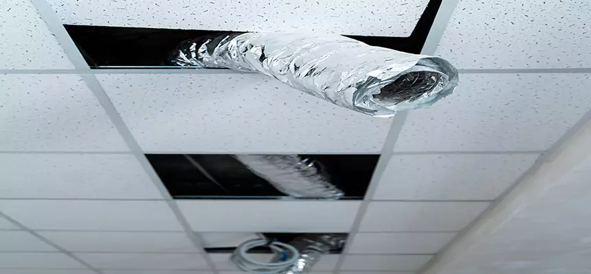 Affordable HVAC Sanitizing After Pest Removal in Roosevelt