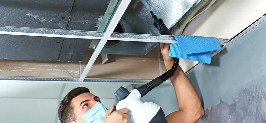 Our Air Duct Rodent Removal Services in Roosevelt, NY