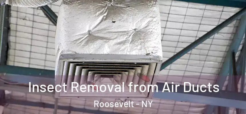 Insect Removal from Air Ducts Roosevelt - NY