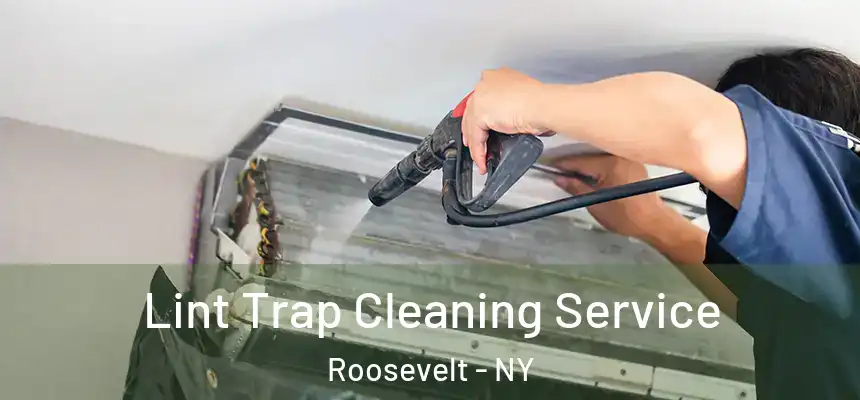 Lint Trap Cleaning Service Roosevelt - NY