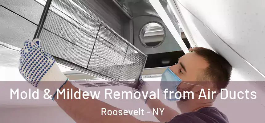 Mold & Mildew Removal from Air Ducts Roosevelt - NY