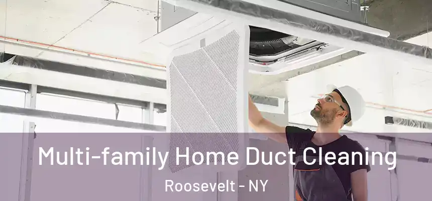 Multi-family Home Duct Cleaning Roosevelt - NY