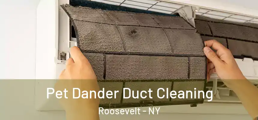 Pet Dander Duct Cleaning Roosevelt - NY