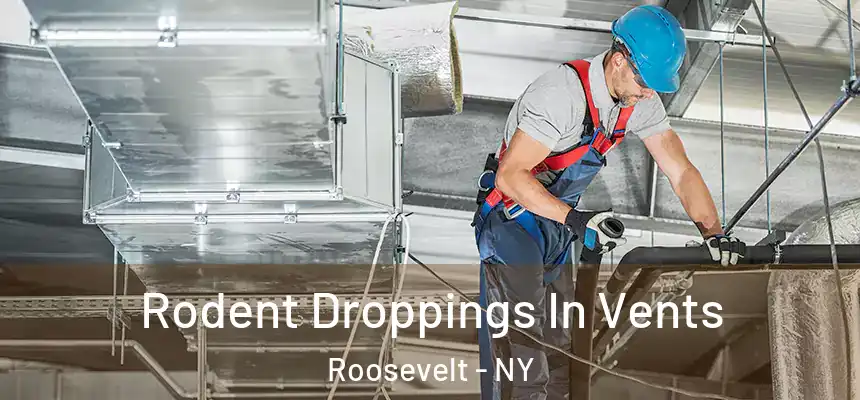 Rodent Droppings In Vents Roosevelt - NY
