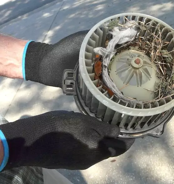 About Air Duct Mice Removal in Roosevelt, NY