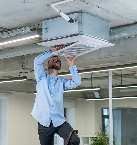Advanced Rodent Droppings In Vents in Roosevelt, NY