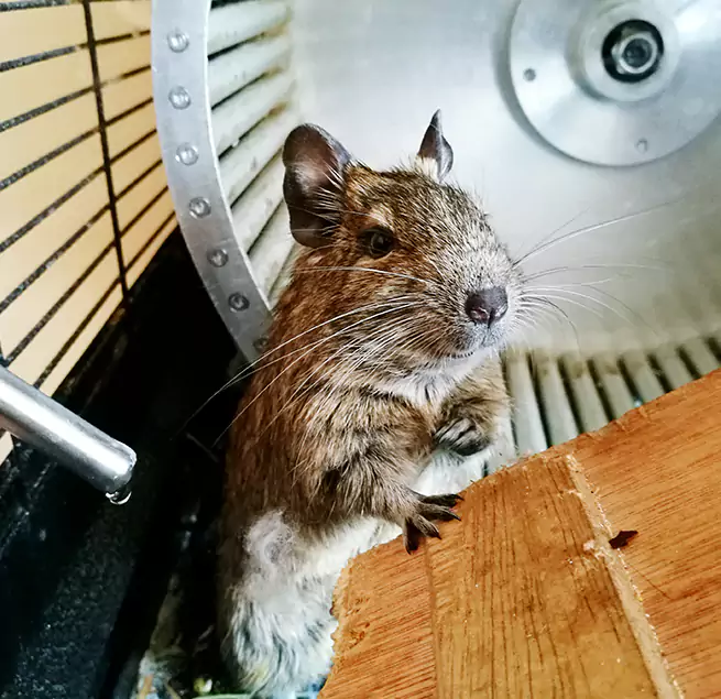 Why Homeowners & Businesses Trust Us Roosevelt, NY