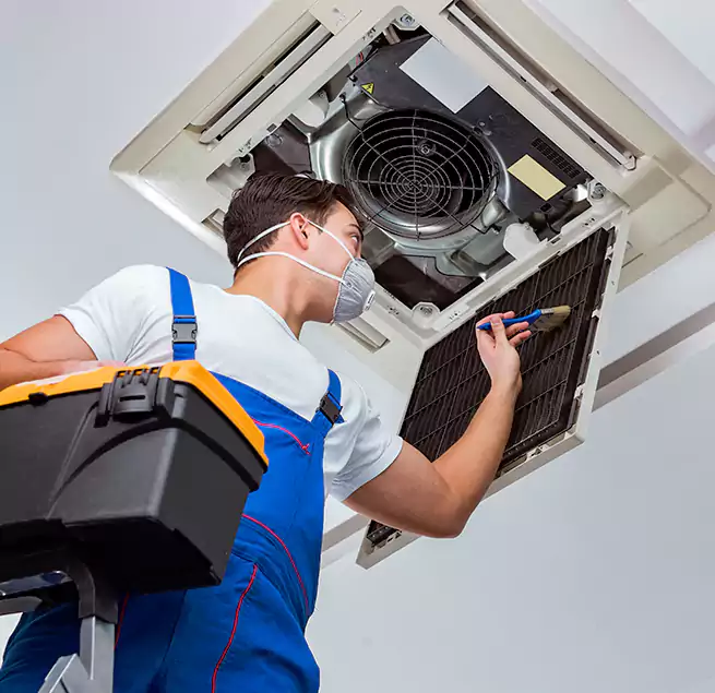 Why Homeowners & Businesses Trust Us in Roosevelt, NY