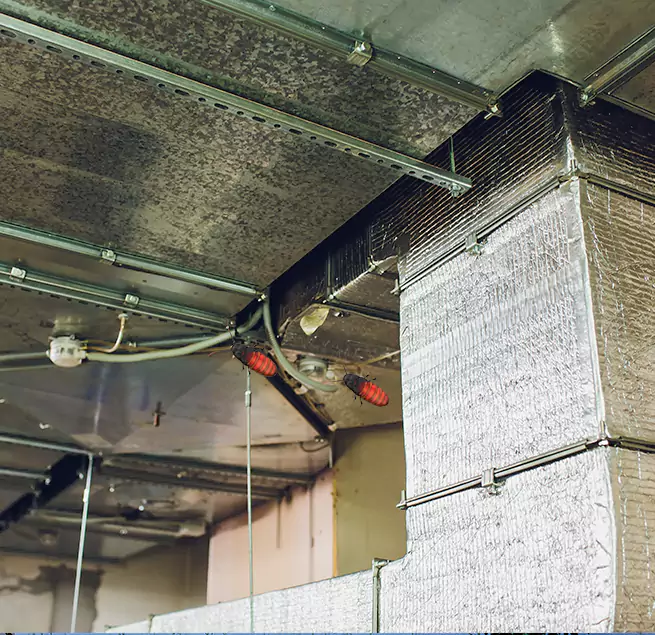 Why Homeowners & Businesses Trust Us Roosevelt, NY?