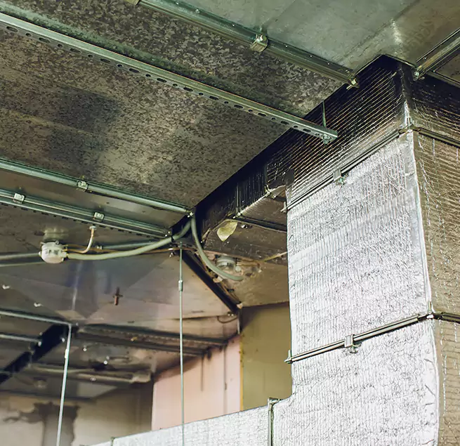 Why Homeowners & Businesses Trust Us in Roosevelt, NY?