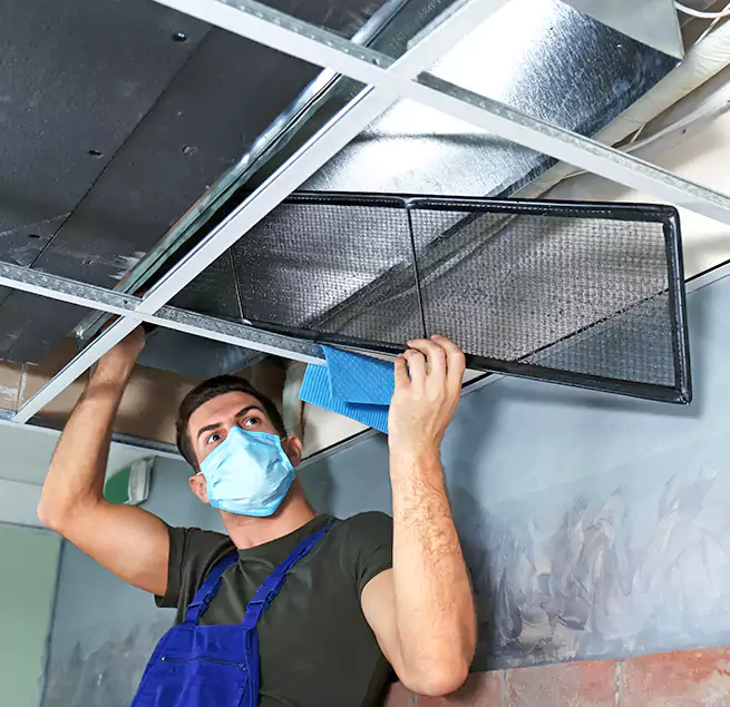 Why Homeowners Businesses Trust Us in Roosevelt, NY