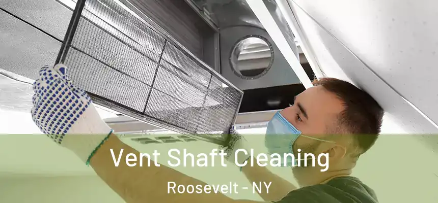 Vent Shaft Cleaning Roosevelt - NY