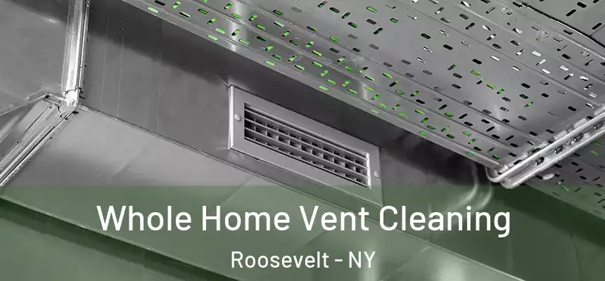 Whole Home Vent Cleaning Roosevelt - NY